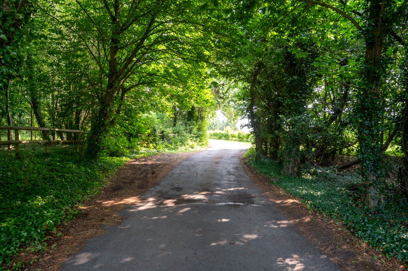 Driveway